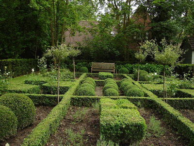 buisson