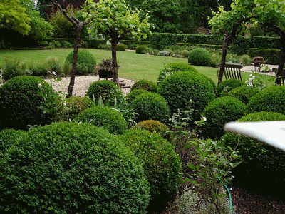 jardin5