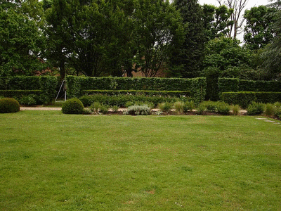 jardin7