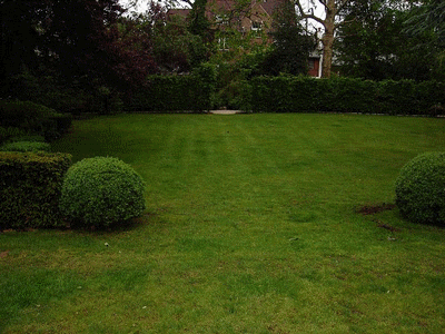 jardin9